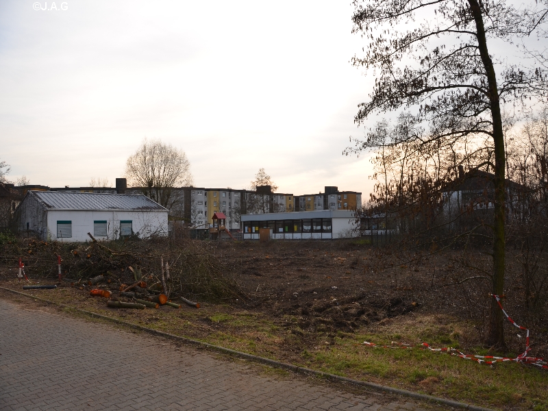 dsc_0200.jpg